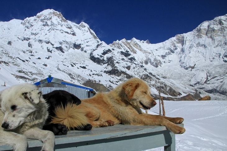 10 Reasons to Trek the Annapurna Circuit