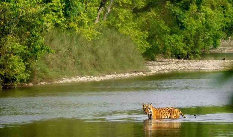 Bardiya National Park